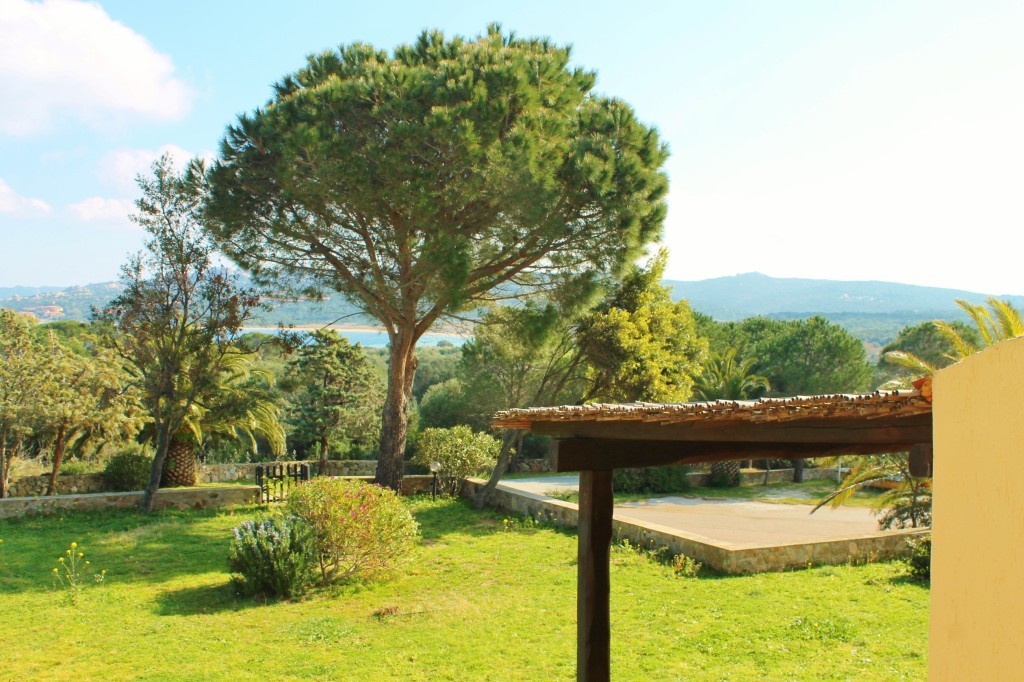 residencebluecornerportopollo05