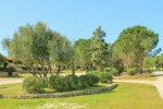 residencebluecornerportopollo10